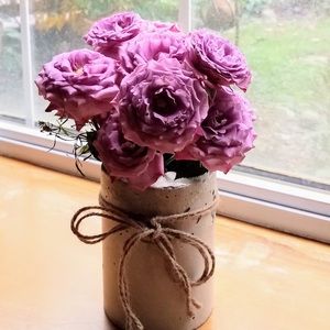 Meet your Posher, Kathi